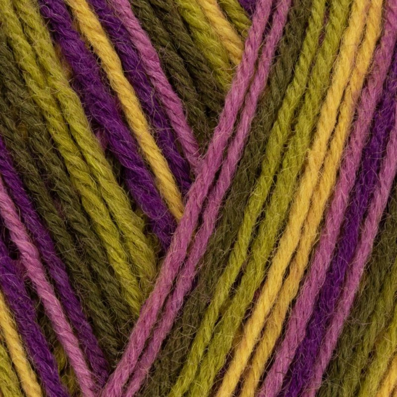 West Yorkshire Spinners 227-0000006-000811