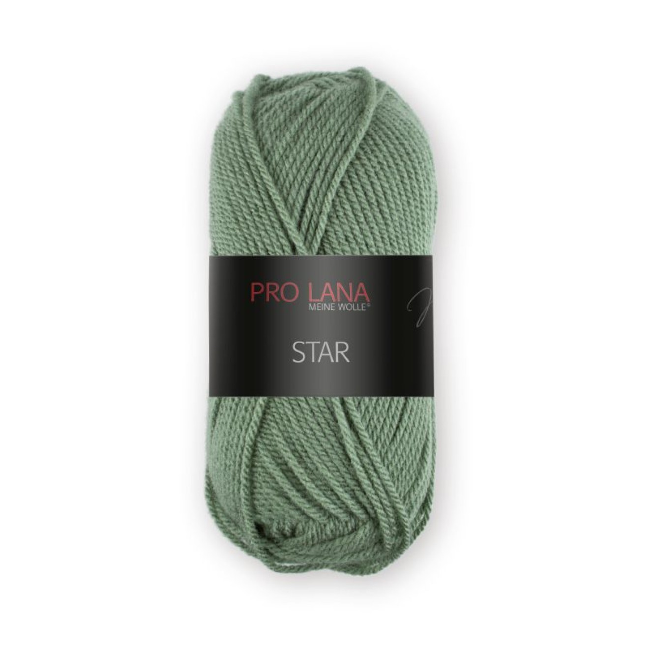 Pro Lana Star Farbe 075