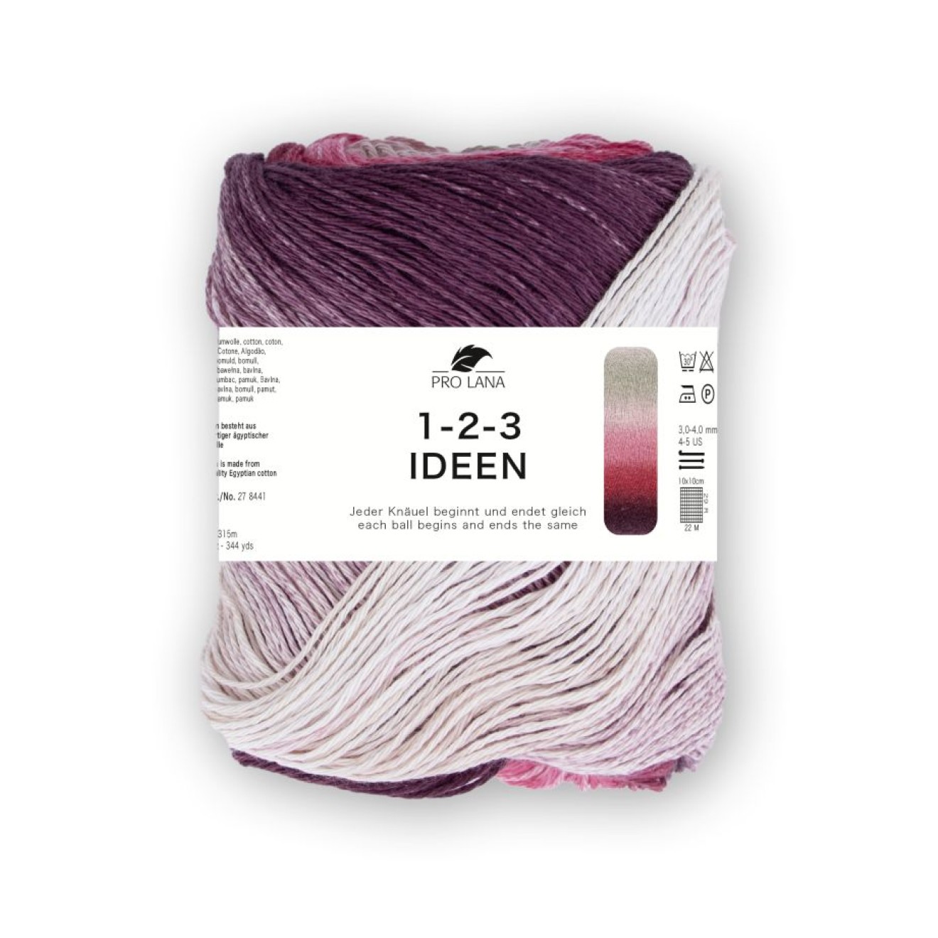 Pro Lana 1-2-3 Ideen Farbe 012