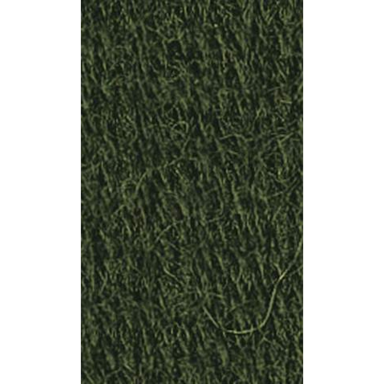 Regia 6-ply Farbe 01994 loden