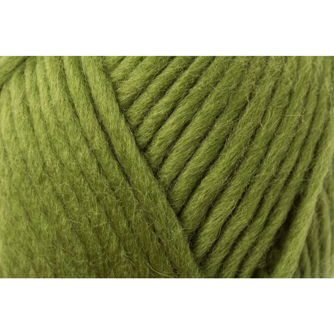 Schachenmayr Wash+Filz-it! Filzwolle uni Farbe 00017 olive