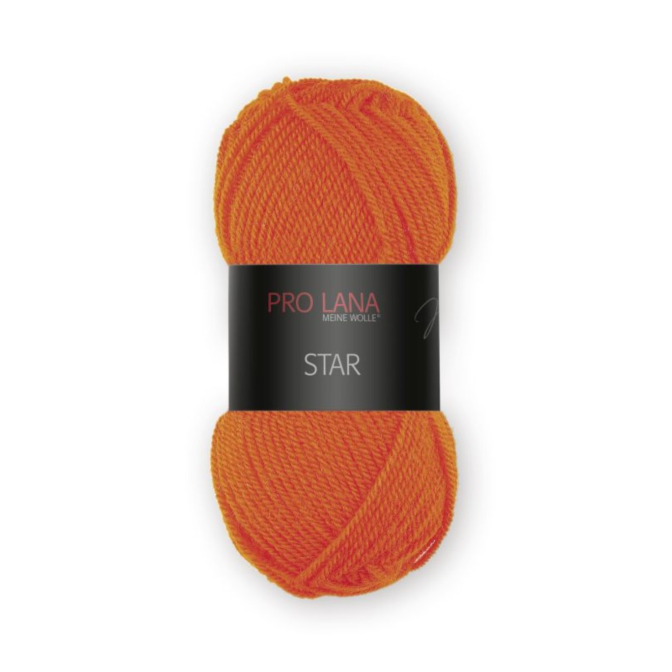Pro Lana Star Farbe 028