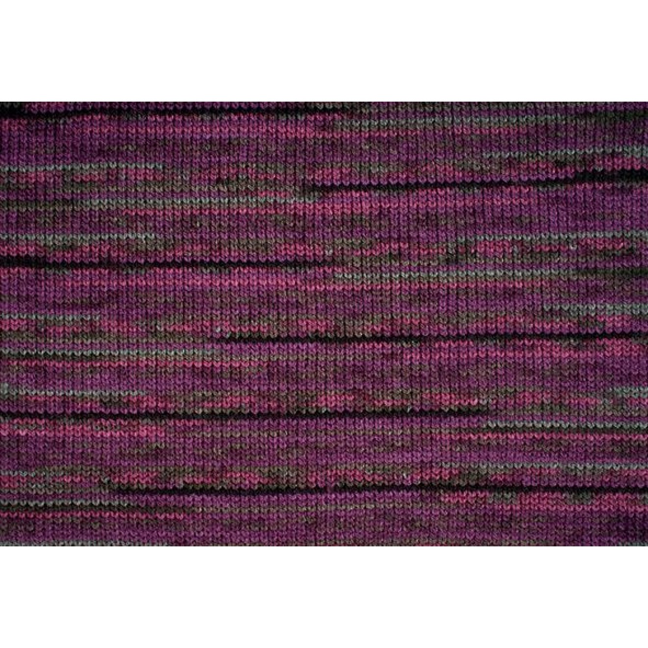 Schachenmayr Bravo Color colour 02088 beere
