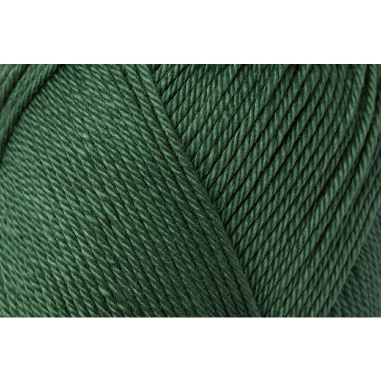 Schachenmayr Catania colour 00419 tannenbaum