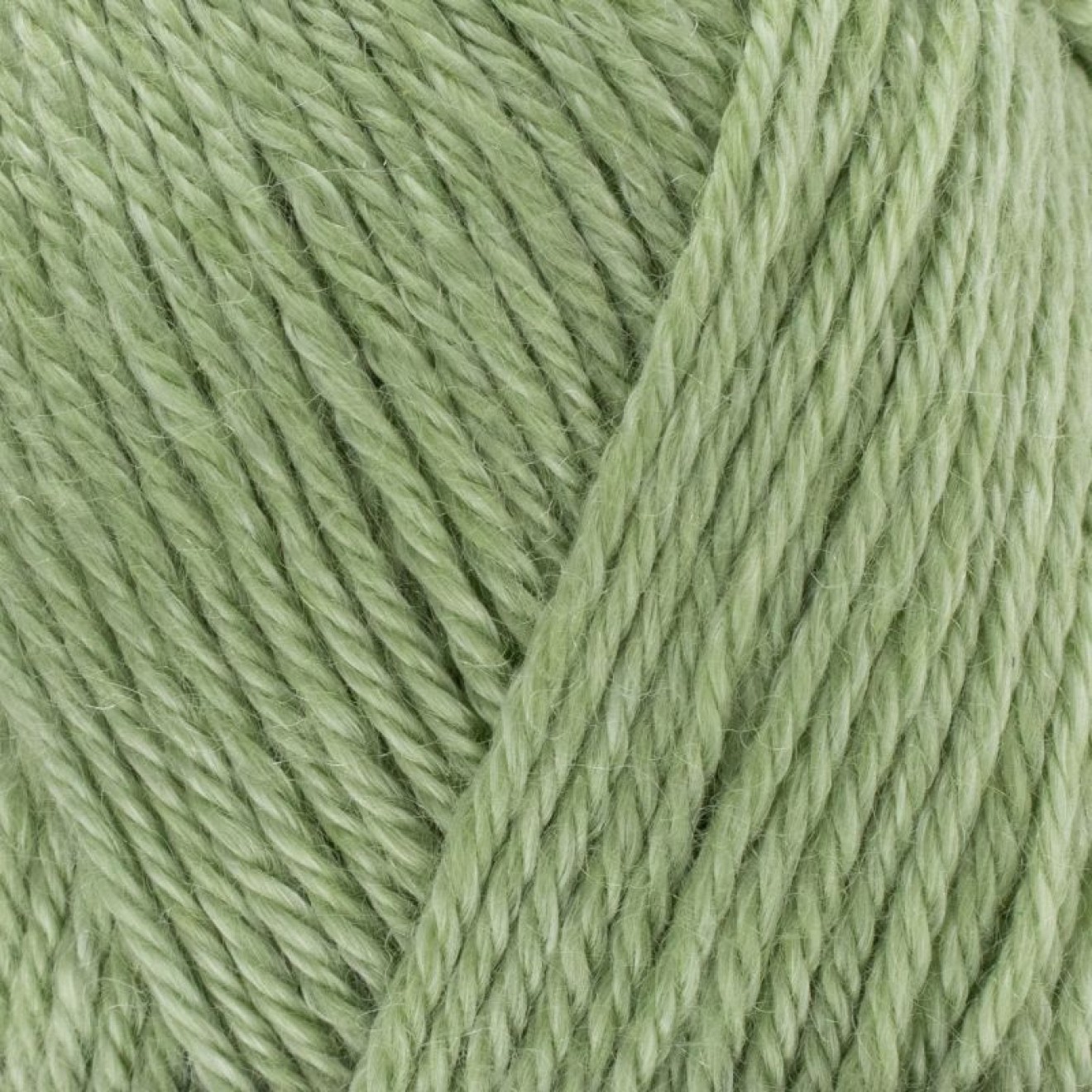 West Yorkshire Spinners 227-0000101-001102