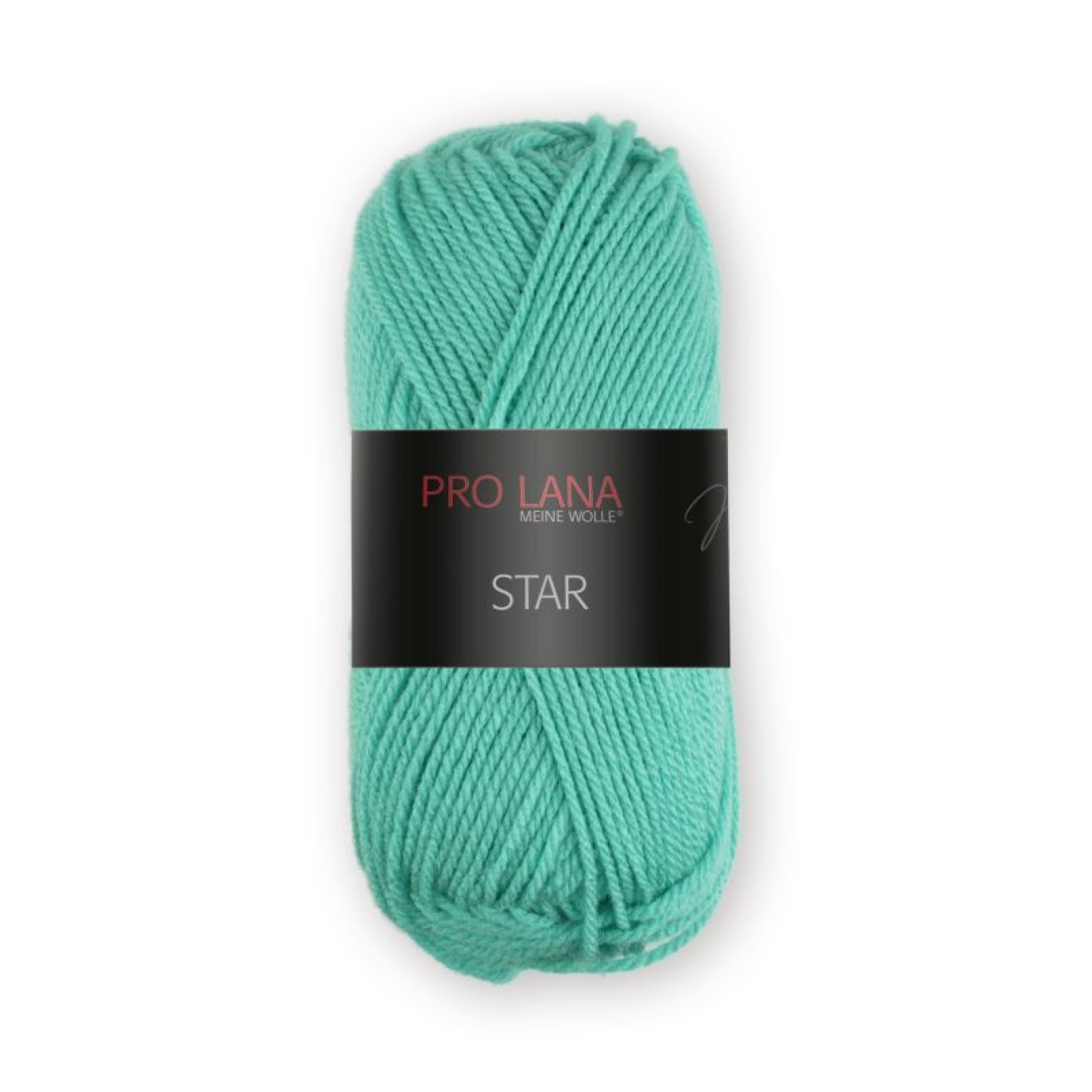 Pro Lana Star Farbe 064