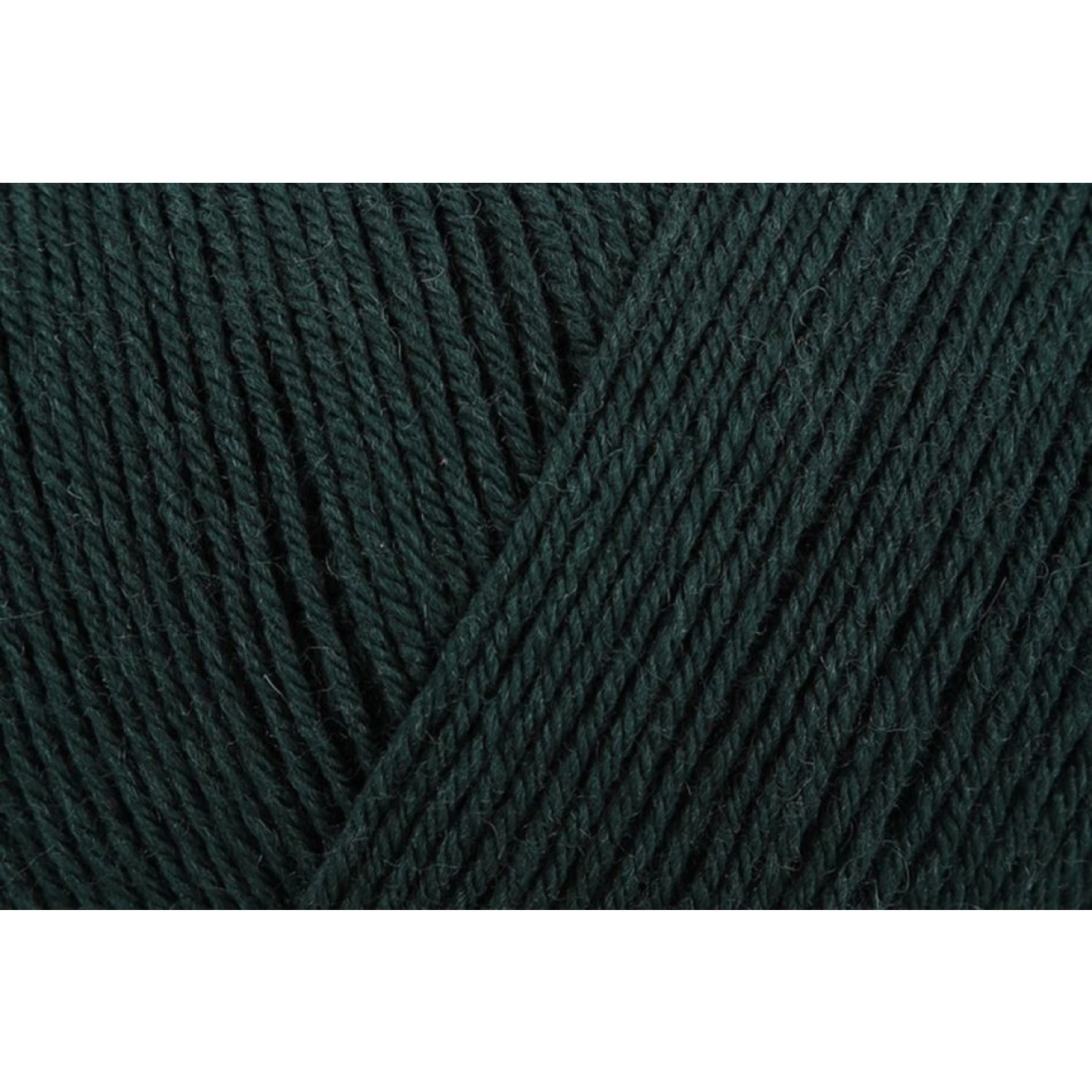 Regia Premium Pure Color Farbe 00072 leaves
