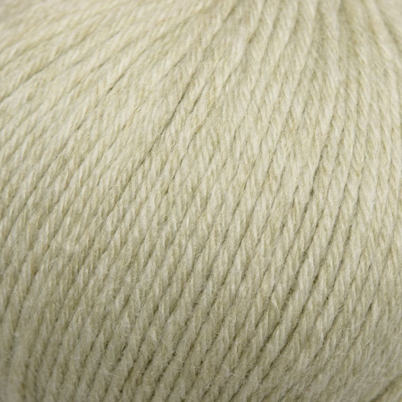 Mayflower 225-0000211-000203