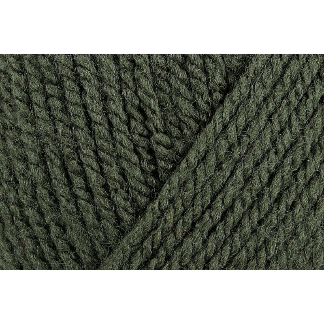 Schachenmayr Bravo Farbe 08347 loden