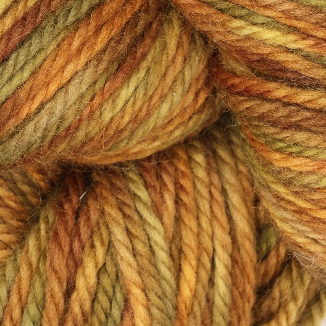 The Oxford Company Violet Jane Kammgarn Farbe Farbe col. Light Autumn Meadow