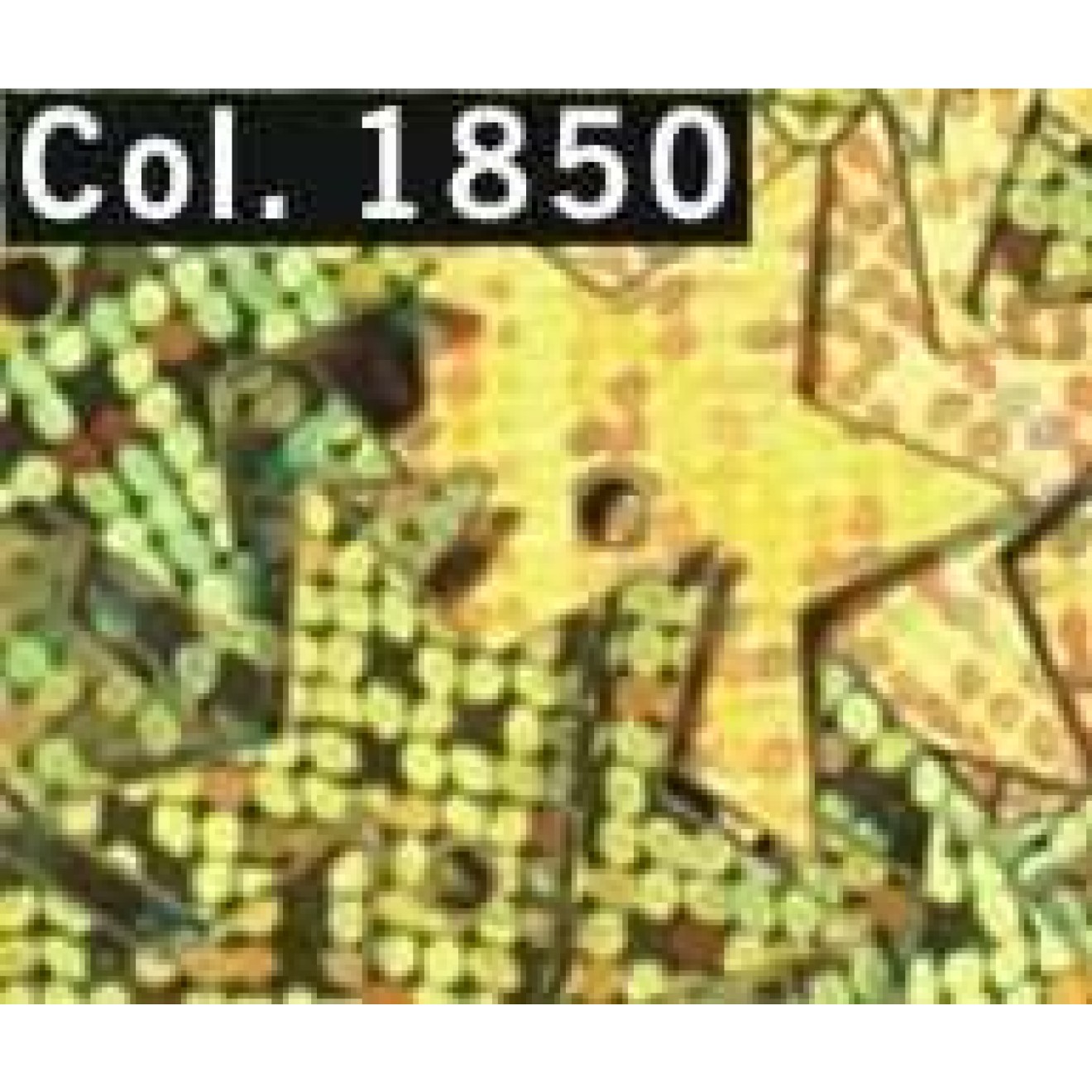 Gütermann creativ Facons colour 1850
