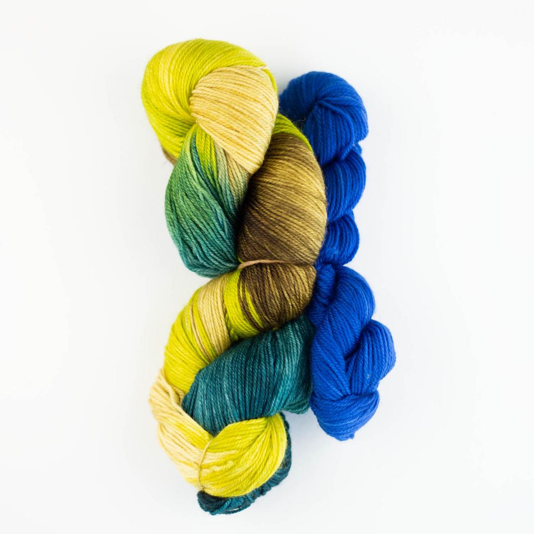 Manos del Uruguay Alegria Superpool Kit handgefärbt yarn
