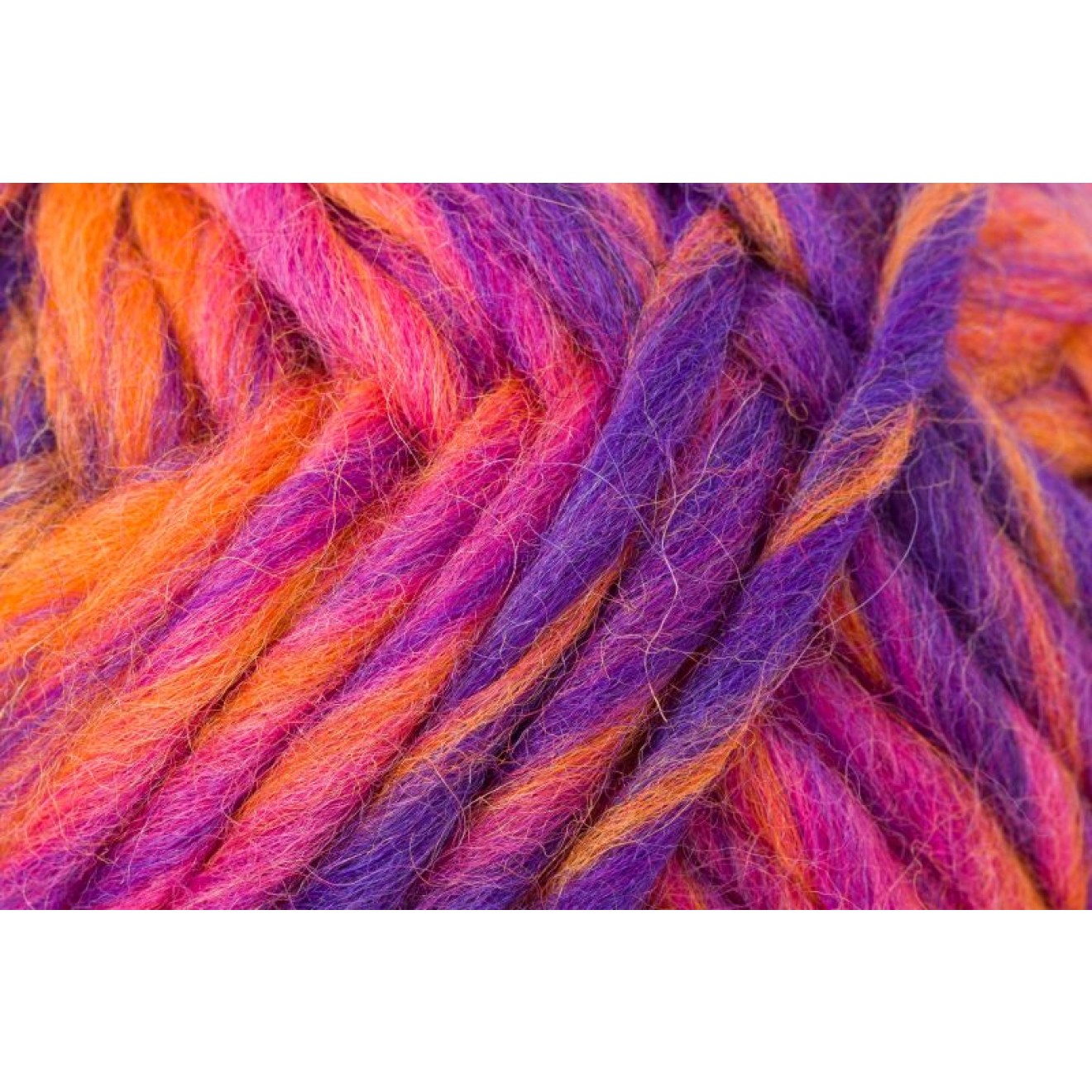 00208 pink lilac