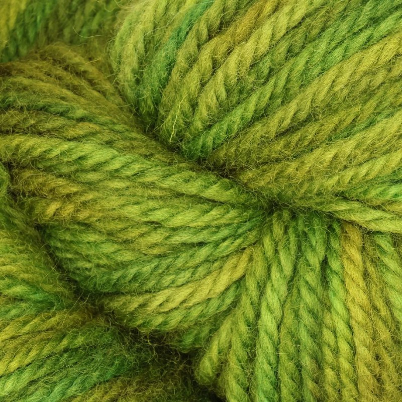 The Oxford Company Violet Jane Kammgarn Farbe Farbe col. Parrot