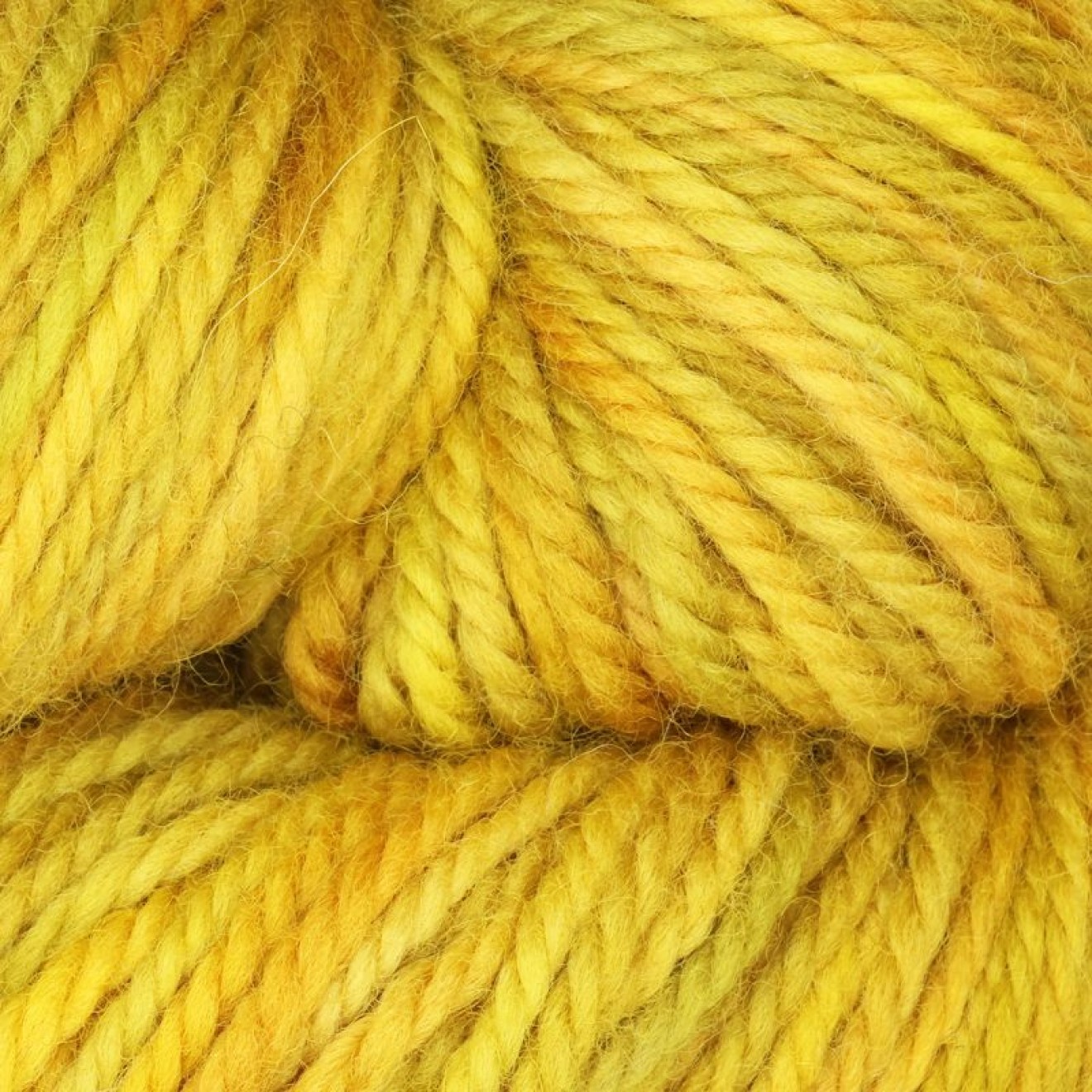 The Oxford Company Violet Jane Kammgarn Farbe Farbe col. Mustard Seed